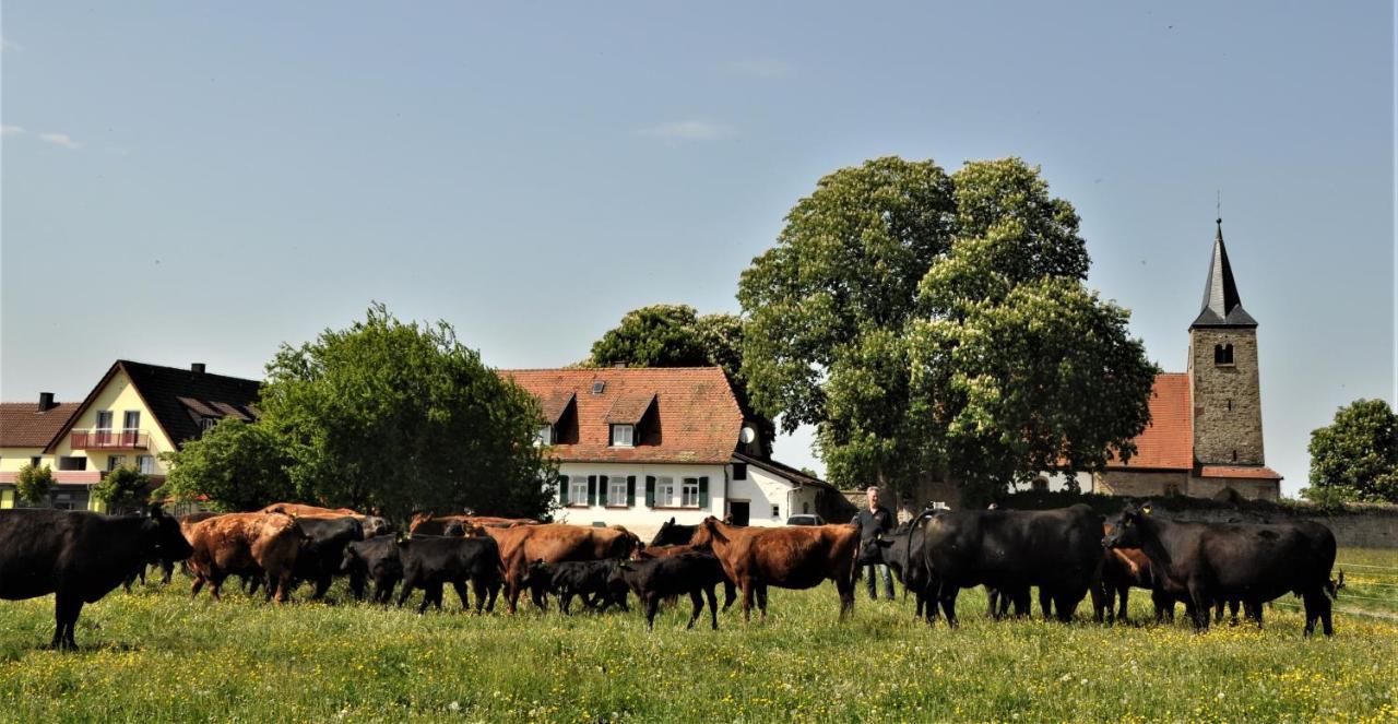 Schäfer's Ferienhof Michaelsberg Gundelsheim  Exterior foto